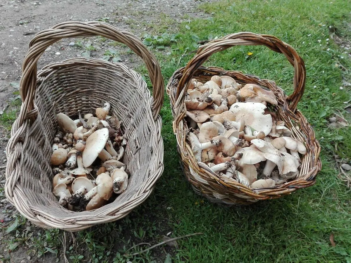 Agroturismo Villa Fattoria La Germana San Godenzo