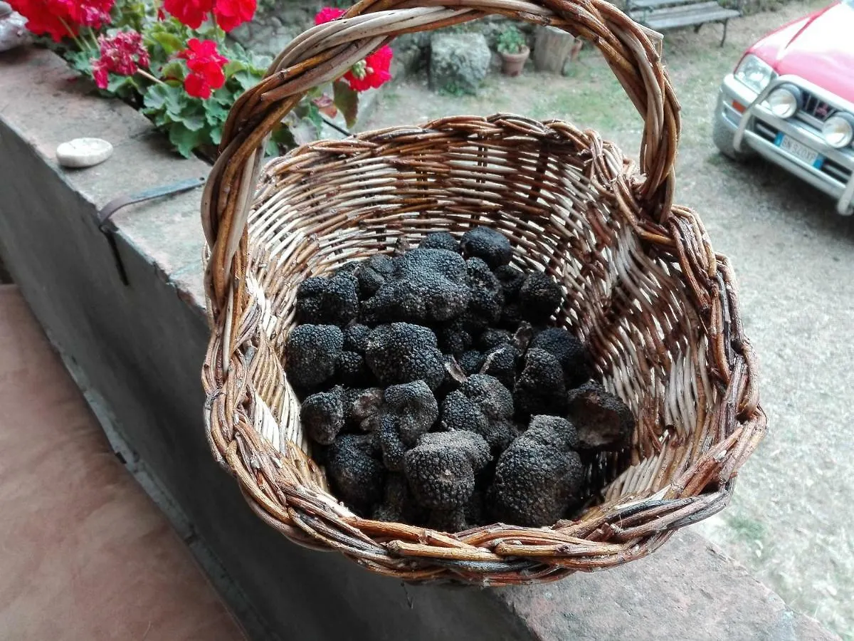 Fattoria La Germana Villa San Godenzo Farm stay