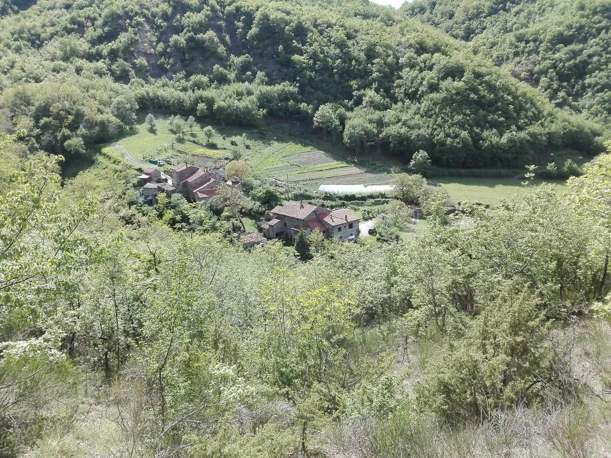 Fattoria La Germana Villa San Godenzo Italy
