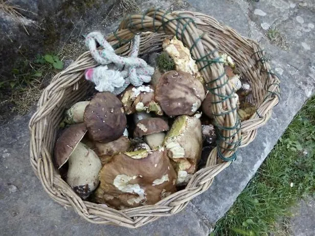 Fattoria La Germana Villa San Godenzo Farm stay